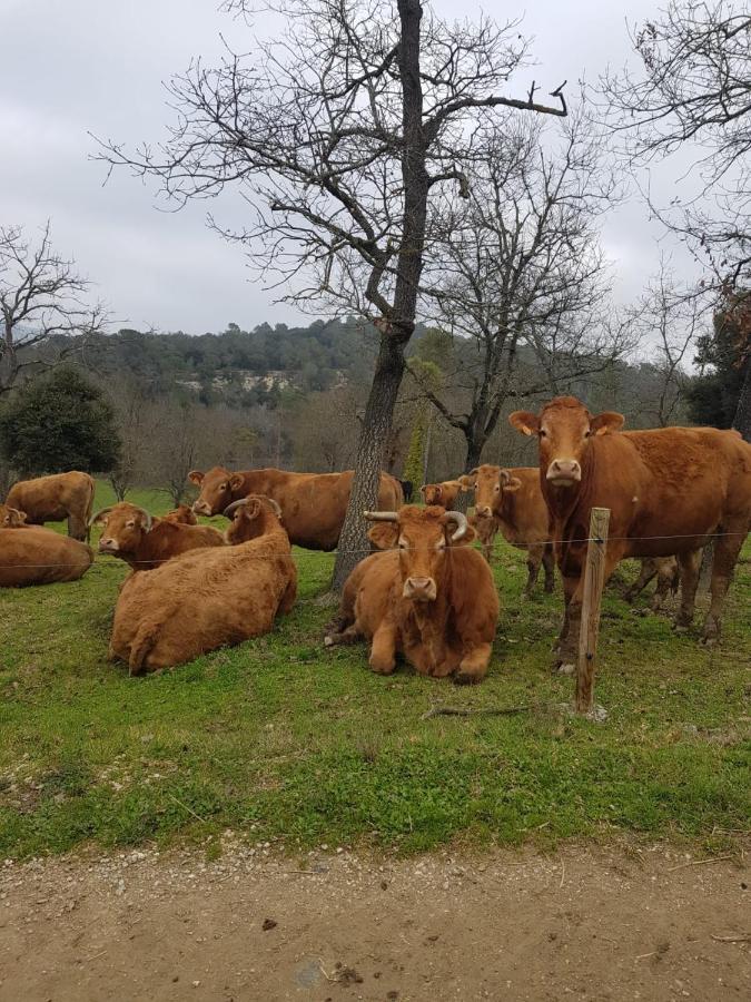 Harveys Homestay - Adults Only Mieres  Exteriör bild